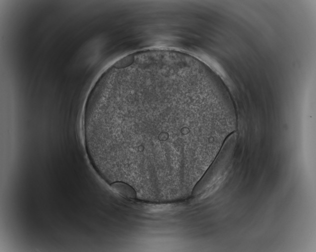 X0000089831247200707121635