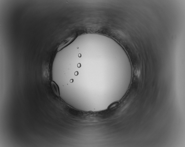 X0000089831252200707121634