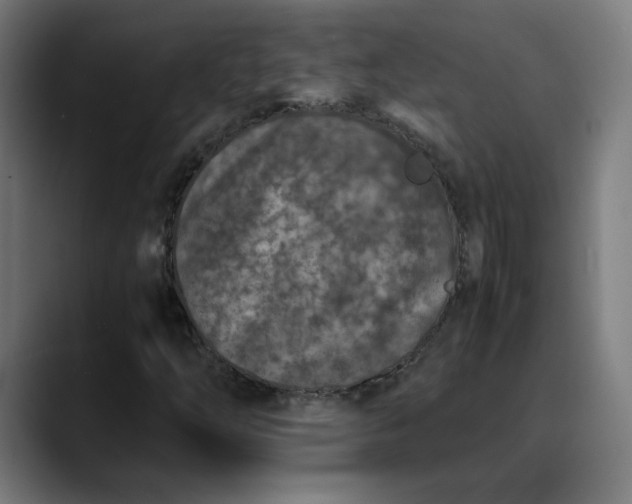 X0000089831254200707121634