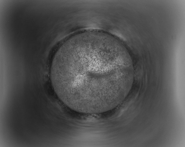 X0000089831255200707121634