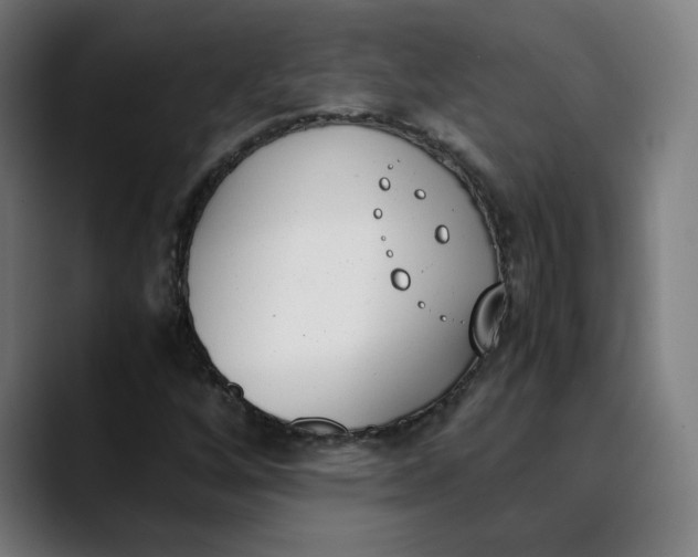 X0000089831256200707121634