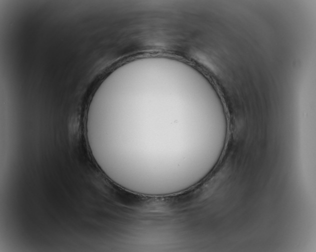 X0000089831259200707121634