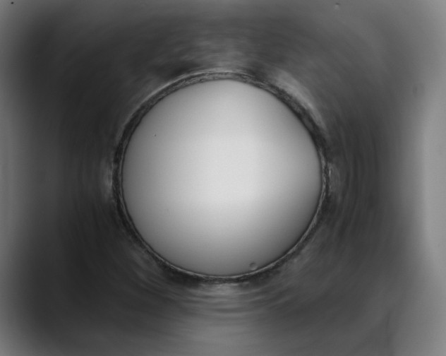 X0000089831260200707121634