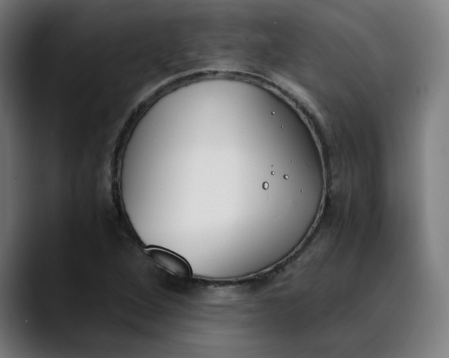 X0000089831264200707121634