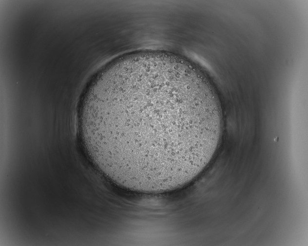 X0000089831267200707121634