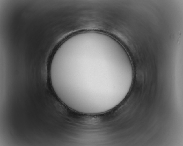 X0000089831270200707121634