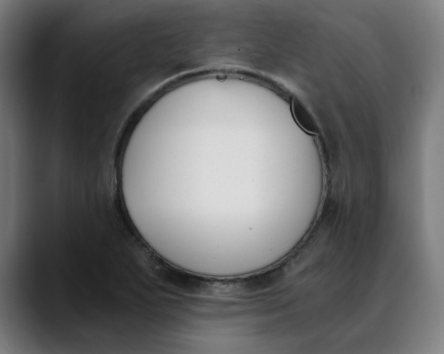 X0000089831271200707121634