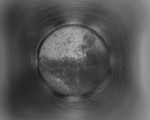 X0000089831274200707121634