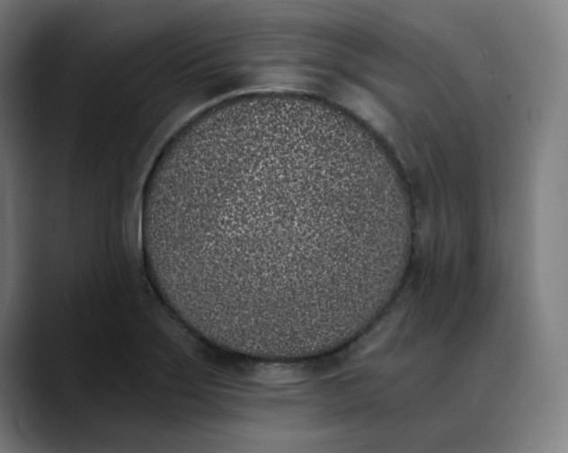 X0000089831275200707121634