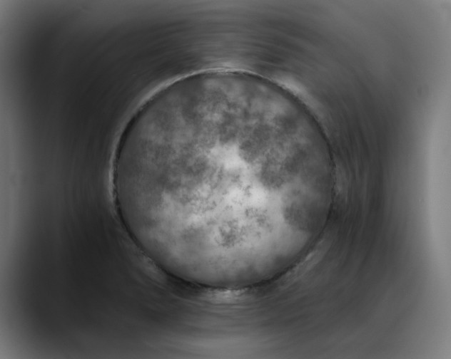 X0000089831278200707121634