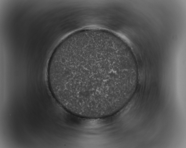 X0000089831279200707121634