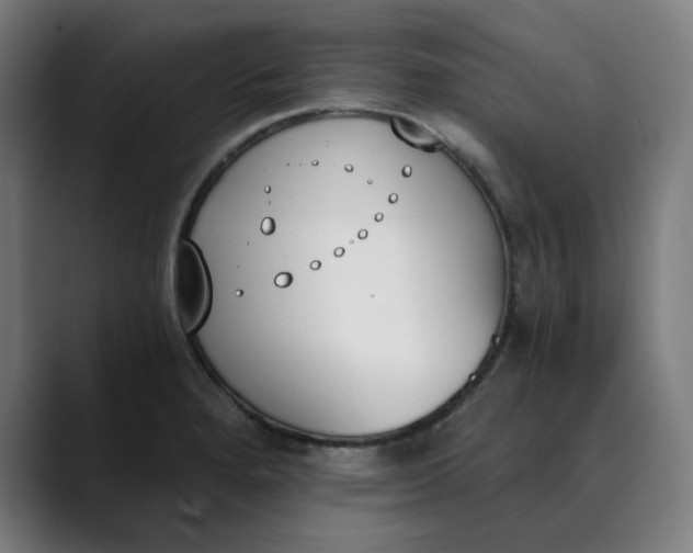 X0000089831280200707121634