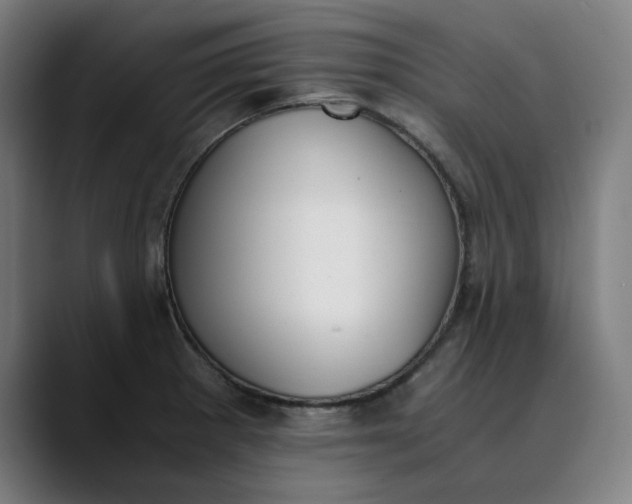 X0000089831281200707121634