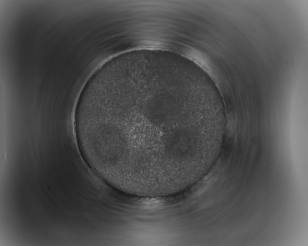 X0000089831283200707121634