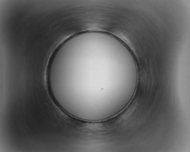 X0000089831285200707121634