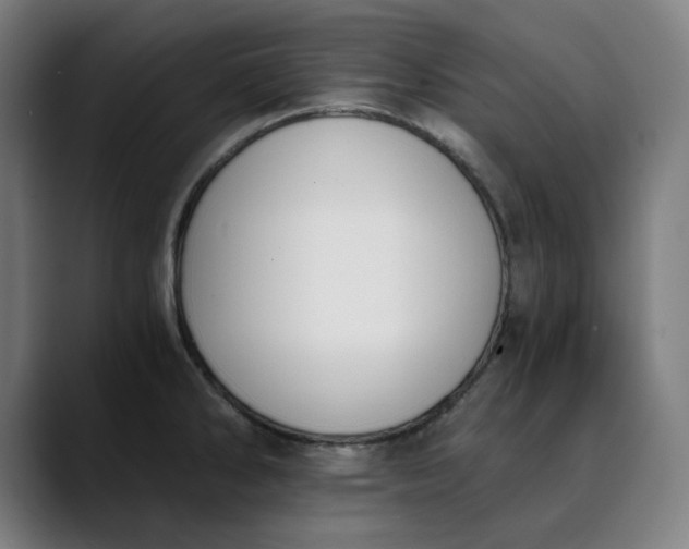 X0000089831286200707121634