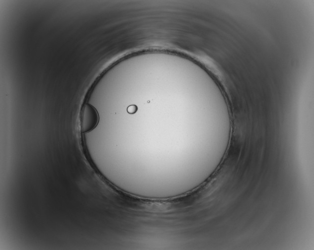 X0000089831287200707121634