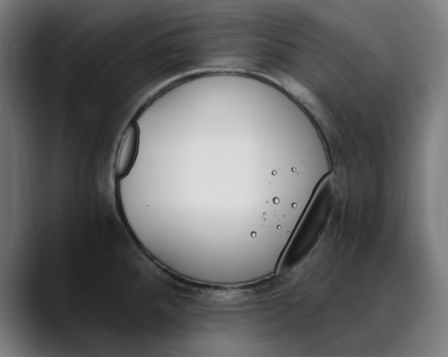 X0000089831288200707121634