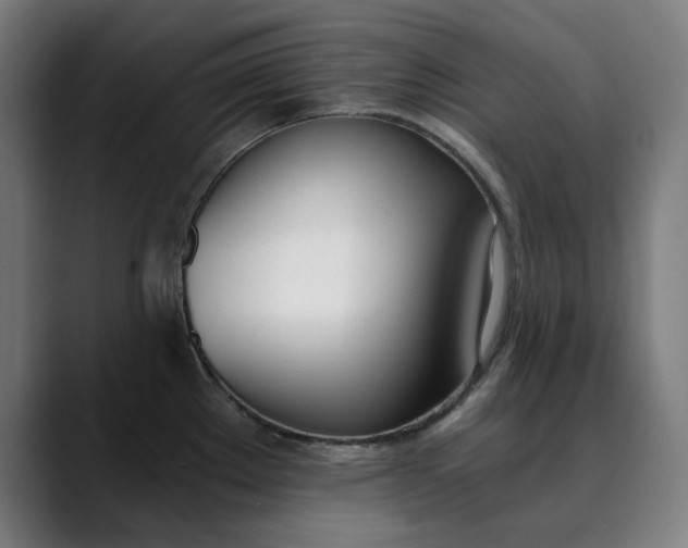 X0000089831289200707121634