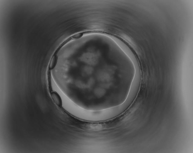 X0000089831291200707121634