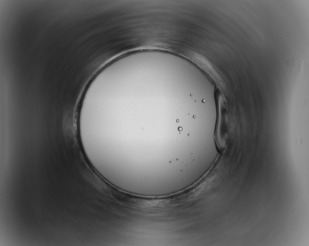 X0000089831292200707121634