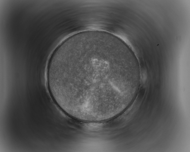 X0000089831294200707121634