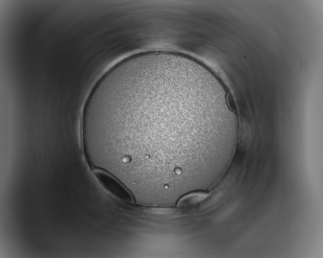 X0000089831295200707121634