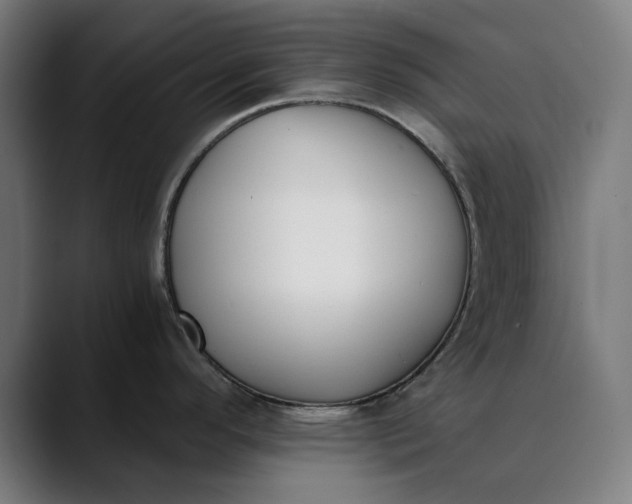 X0000089831296200707121634