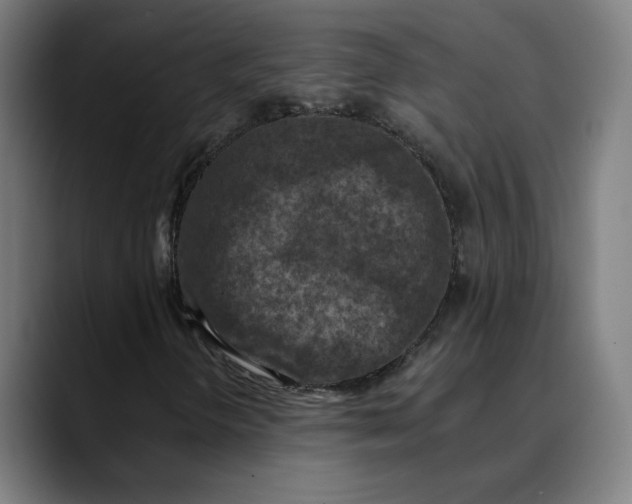 X0000089831298200707121633