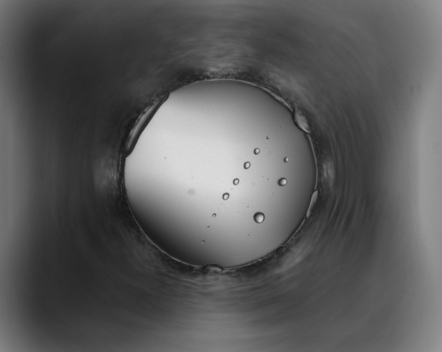 X0000089831300200707121633