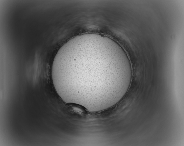 X0000089831301200707121633