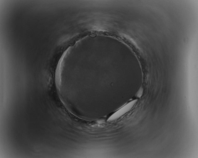 X0000089831303200707121633