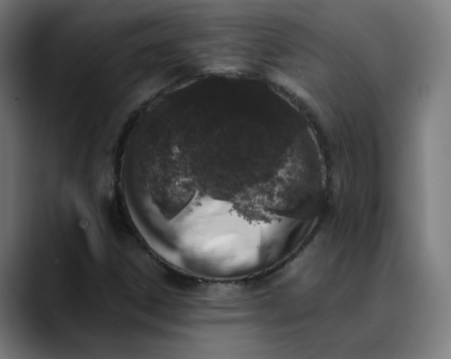 X0000089831306200707121633