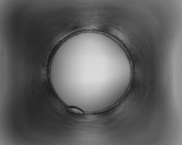 X0000089831308200707121633