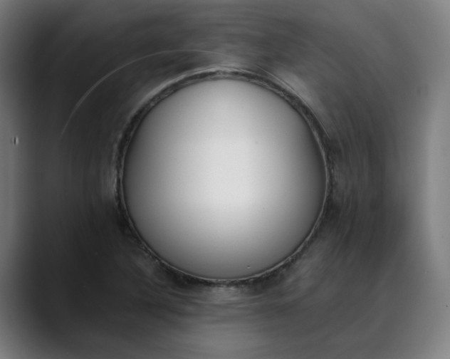 X0000089831316200707121633