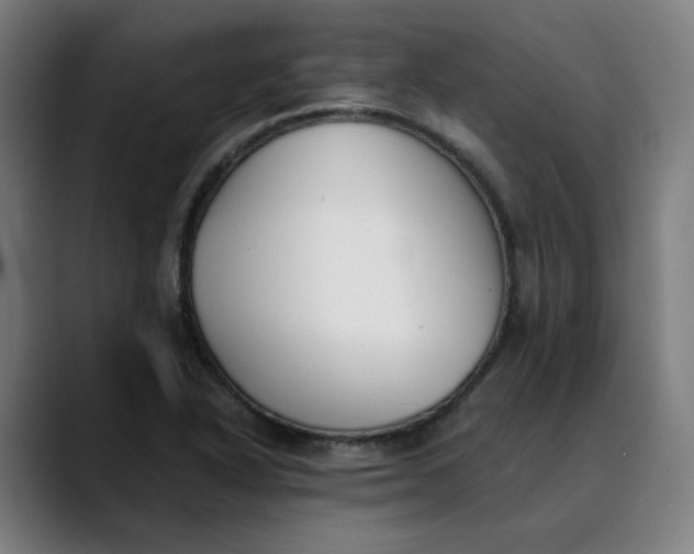 X0000089831318200707121633