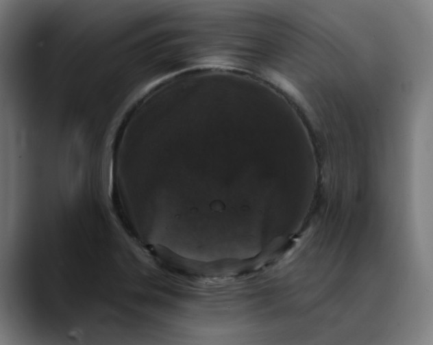 X0000089831323200707121633