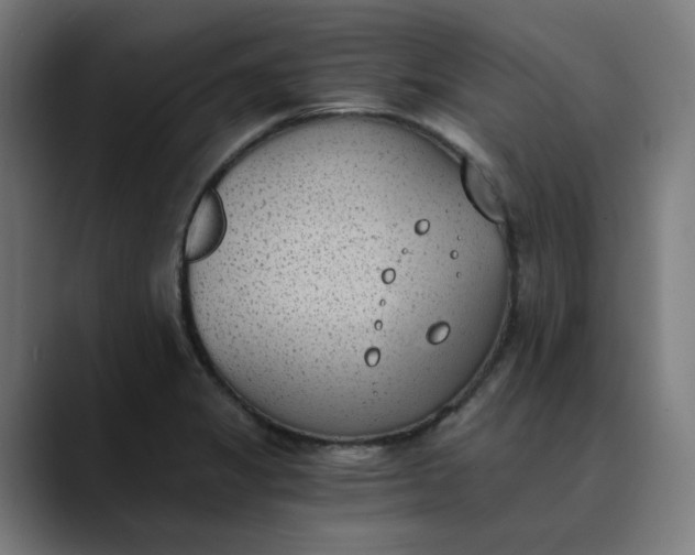 X0000089831325200707121633