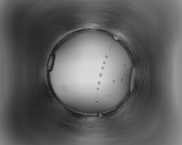 X0000089831326200707121633