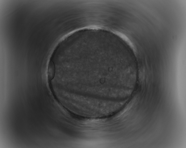 X0000089831327200707121633