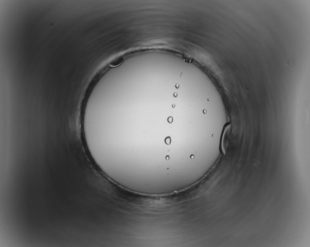 X0000089831328200707121633