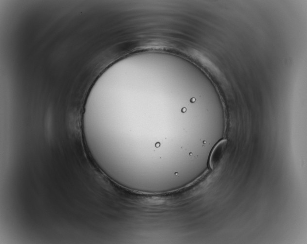 X0000089831329200707121633