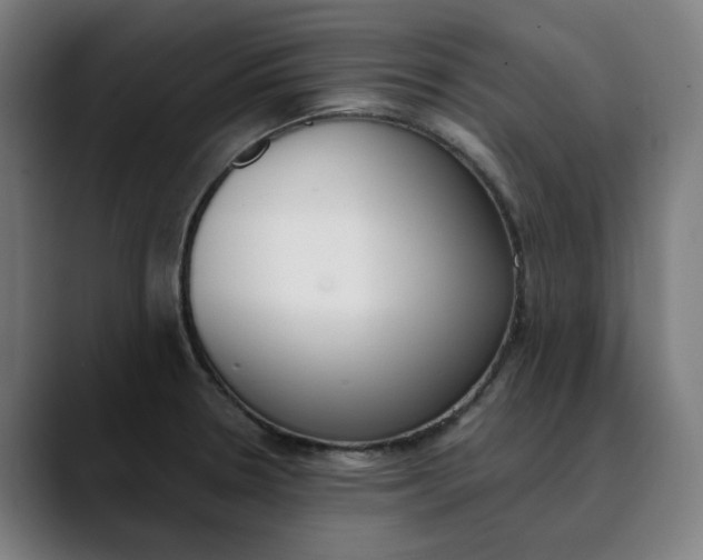 X0000089831330200707121633