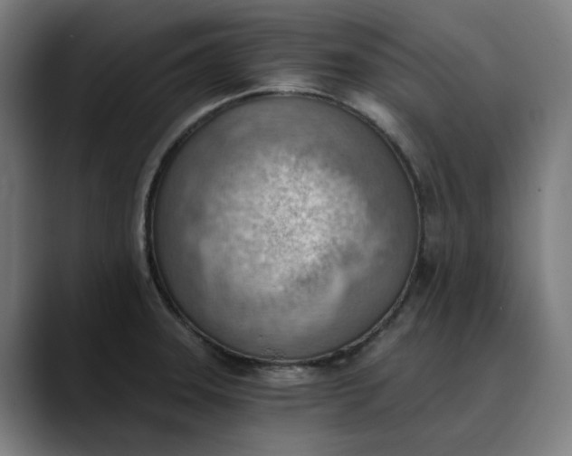 X0000089831331200707121633