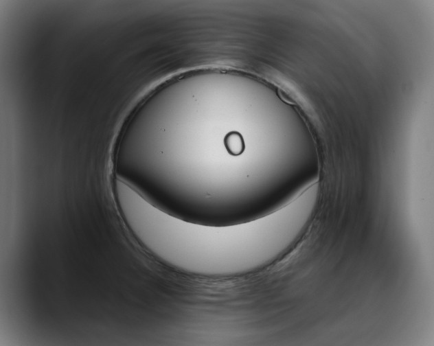 X0000089831332200707121633