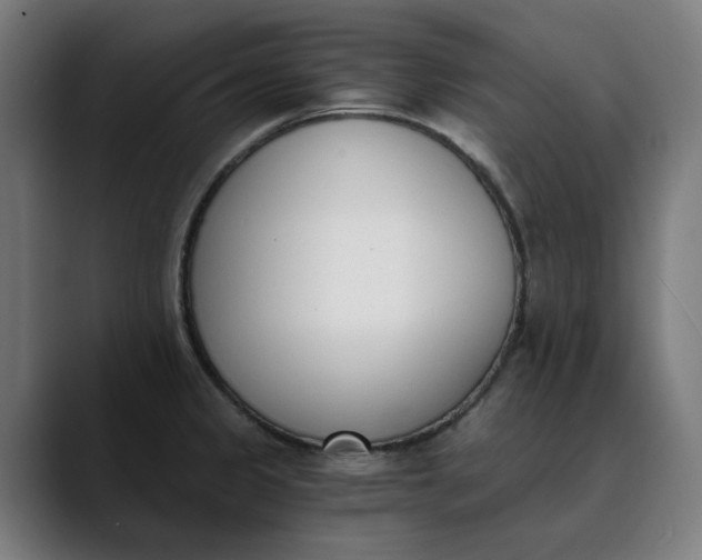 X0000089831333200707121634