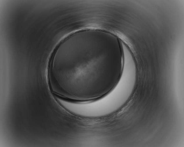 X0000089831334200707121634