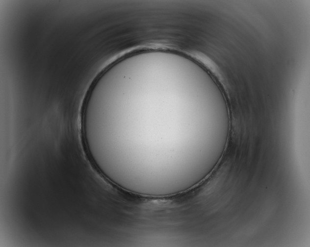 X0000089831335200707121634