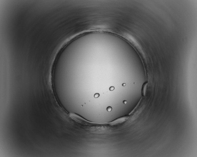 X0000089831336200707121634