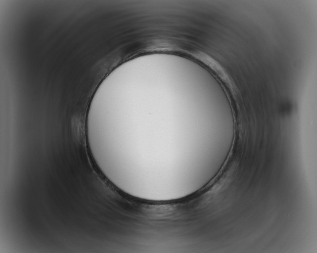 X0000089831337200707121634